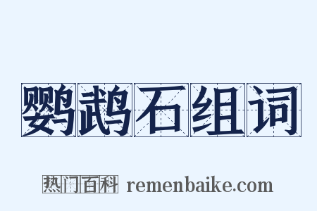 鹦鹉石组词是什么意思的图片